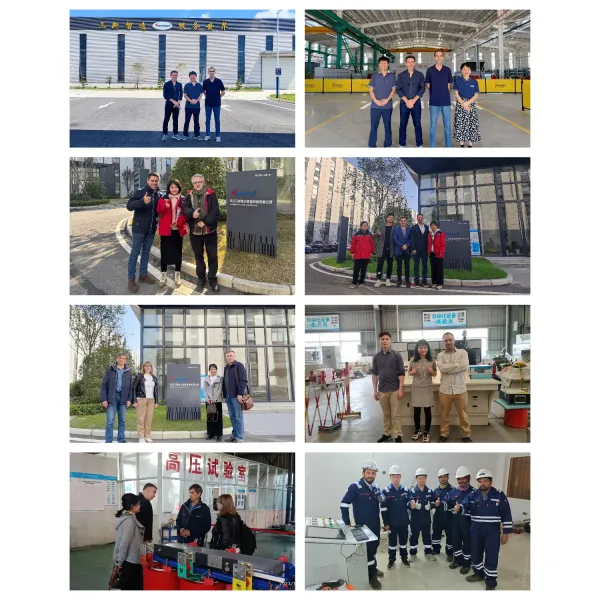 Portable Zinc Oxide Arrester Electrified Tester for Leakage Current Test Moa Test Device