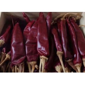 China Medium Hot Dried Guajillo Chili 12% Moisture Red Chile Peppers 10000SHU on sale