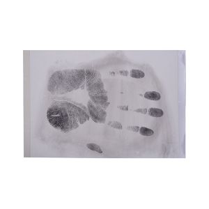 C183 White full palm print hinge lifter