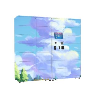 Fresh Fruit Refrigerated Locker 50Hz Smart Cabinet Remote Control System