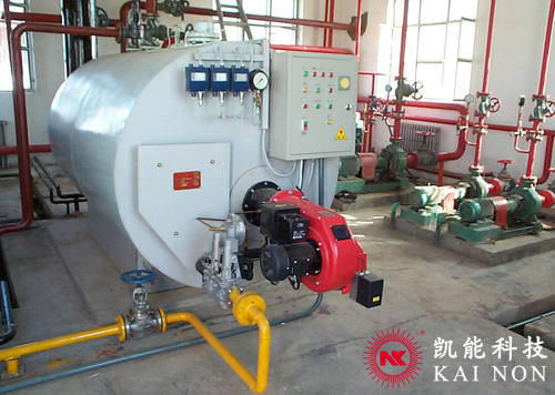 Oil Gas Fired Boiler System 1T,2T,4T Horizontal Hotel Residential Support