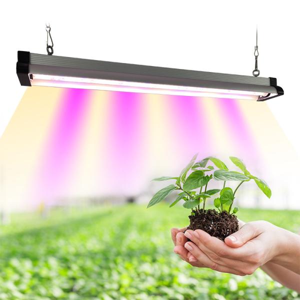 Quality T5 T8 30w 45w 60w Led Grow Light Bar For Horticulture wholesale