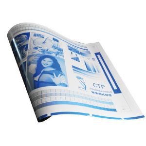 Cheap Long Run Length Solvent Resistance CTP Offset Printing Plates for sale