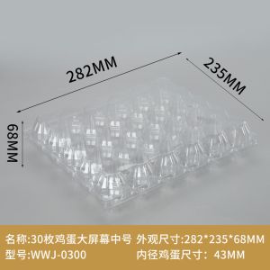 Small Plastic Egg Cartons - Clear 2 Dozen Quail Eggs Tray - Reusable Storage