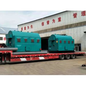 6t 4.2MW Coal Fired Hot Water Boiler Nature Circulation