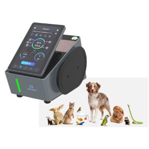 China Class IV Gentle Laser Machine 980nm Pet Laser Therapy Machine on sale
