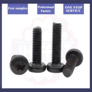 6x55 5x50 M2.5 M3 M4 M5 M6 M8 Pan Head Torx Nylon Patch Locking Screw in Metric