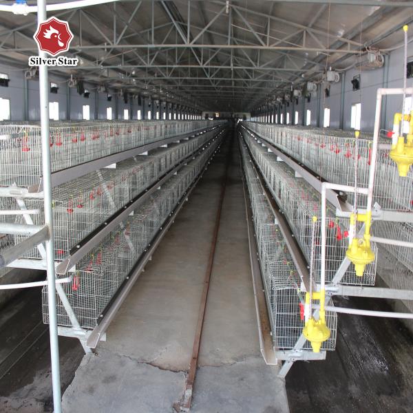 Quality Durable Layer Baby Chick Cage SGS Manure Removing wholesale