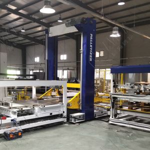Custom Auto Weighing Filling Production Pack Line Machines