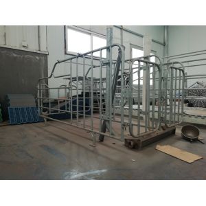 Durable Free Stall Farrowing Pens Swine Equipment With Thermal Box