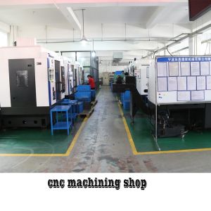 ACE-AD030 Model NO. Custom Die Casting of Machining Part with Finish as