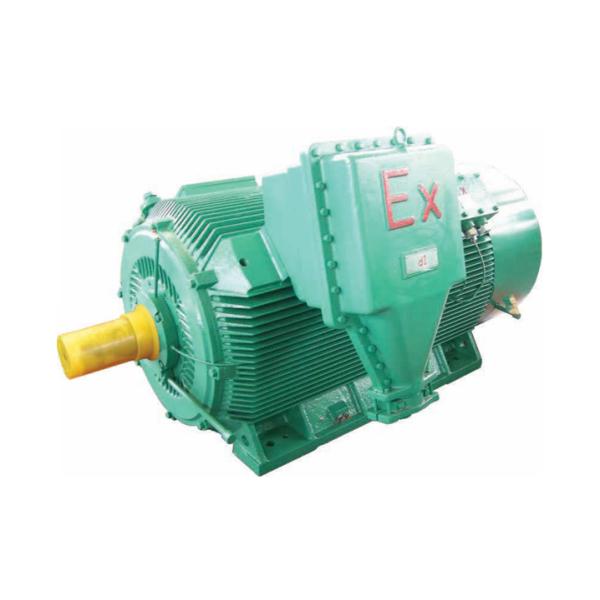 Quality TBYCPXhigh-voltage explosion-proof ultra efficiency variable frequency speed regulation 3-phase permanent magnet synchronous motor TBYCPX-5602-6 TBYCPX-5603-6 TBYCPX-5604-6 TBYCPX-4001-8 TBYCPX-4002-8 wholesale