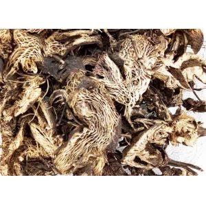 Cheap Light Grey Brown Color Black Cohosh Root Crude Type Sliced Or Whole Shape for sale