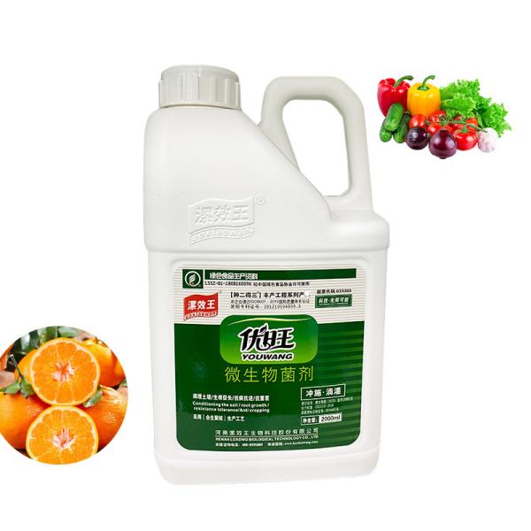 Pure Biological Microbial Inoculant Organic Fertilizer With Similar Growth