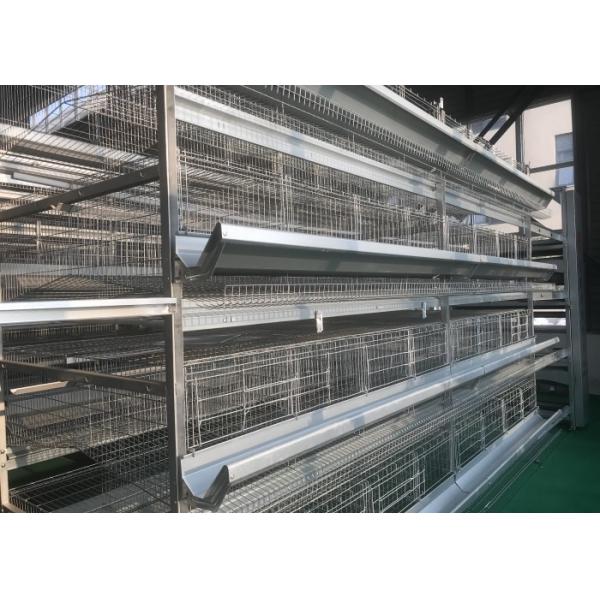 Quality High Density Automatic Poultry Feeder System Small Footprint Saving Land wholesale