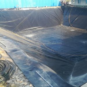 Project Solution Capability HDPE Geomembrane Pond Liner for Fish Shrimp Farming