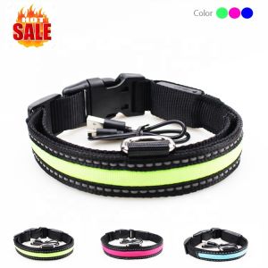 Custom Nylon Glowing Rechargeable Usb Safety Dog LED Collars