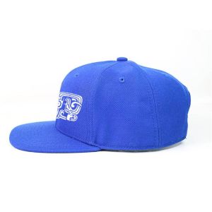 Blue Snapback Cap Hat Adjustable 7 Holes Plastic Back Closure Silk Print On
