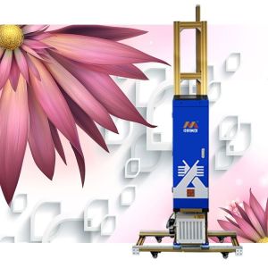 Cheap 720DPI Auto Laser Positioning Vertical UV Wall Printer for sale