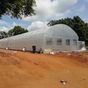 Practical High Tunnel Greenhouse For Agricultural Solutions