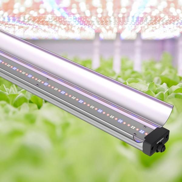 Quality 150cm 70W Bar Style LED Grow Lights Daisy Chain Vertical Vertical Grow Light Bar wholesale