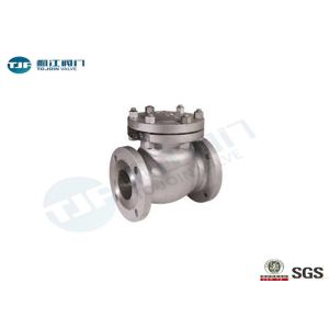 Cast Steel Swing Type Non Return Valve DIN 3840 With Flanged End Connections