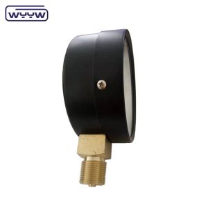 Capsule Pressure Gauge 100 Mbar Bellows Manometer 100mm G1/2"