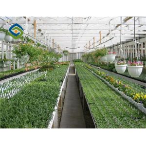 Venlo Roof 9.6m Multi Span Greenhouse For Vegetables