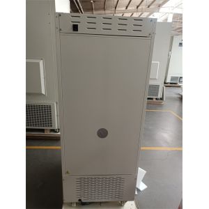 Medical Blood Platelet Agitator Incubator Environmentally Friendly with 10 SUS