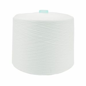 China 20/2 30/2 20/3 30/3 40/2 50/2 100% Polyester Spun Yarn For Sewing Thread on sale