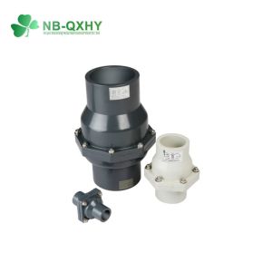 Plastic Check Valve DIN ANSI JIS Standard with Thread Connection Form and US 1