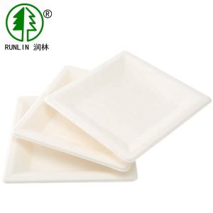 China Rectangular Eco Friendly Biodegradable Sugarcane Bagasse Plates Birthday Party Paper on sale