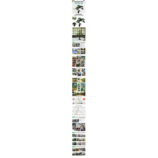 Potted Pine Tree for Home Decoration