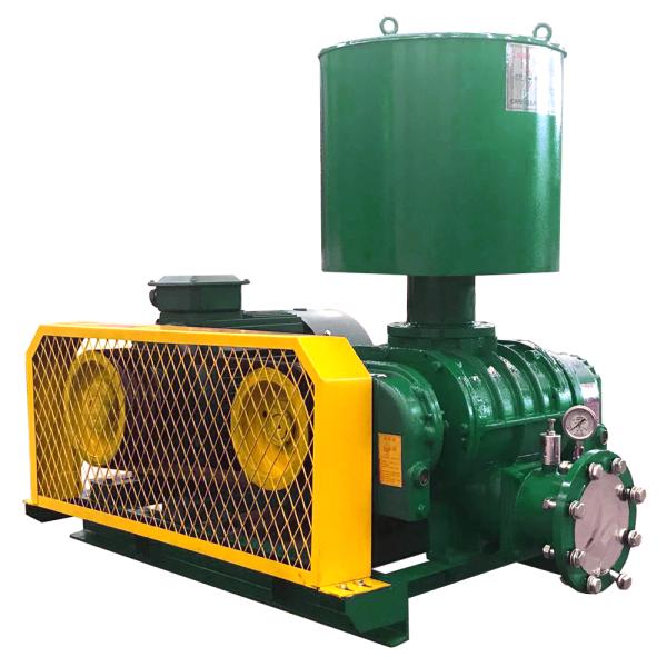 DN50 Roots Vacuum Blower