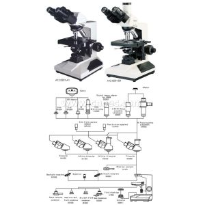Binocular Head Plan Achromatic Objective Biological Compound Microscope 1000X