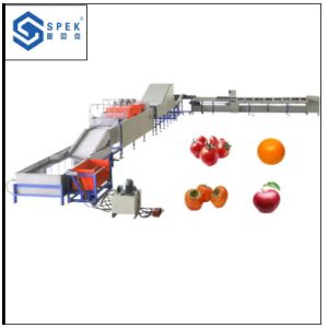 automatic fruit apple washing and waxing and sorting macine fruit sorting