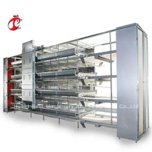 Cheap H Type Modern 25000 Birds Automatic Chicken Cage Equipment Emily for sale