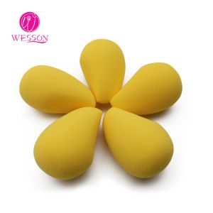 China Washable Mango Wind Shape 5pc Makeup Beauty Sponge Set on sale