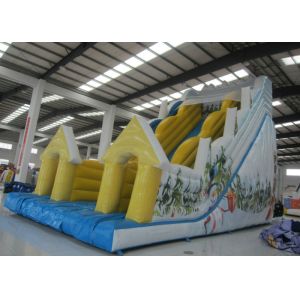 Big Inflatable Water Slides