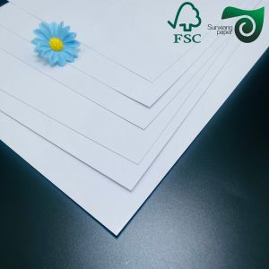 FSC Certified 250gsm 300gsm Double Sided Glossy American Bristol Paper Board