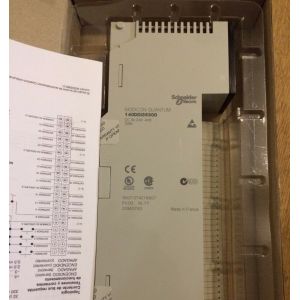 SCHNEIDER AUTOMATION TSX QUANTUM 140DAI55300 AC IN 115V 4X8, 140 DAI 553 00