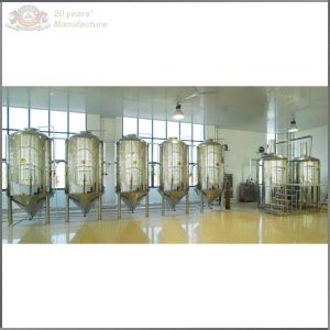 10HL stainless steel or red copper beer making machine for microbrewery or restaurant