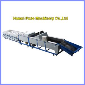 lemon grading machine, lemon waxing sorting machine