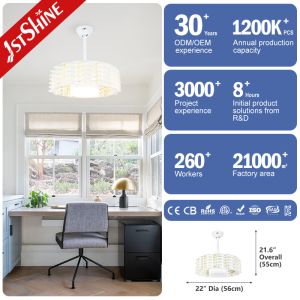 DC Motor LED Ceiling Fan for Home Office Mini Size No Blades Energy Saving Desig