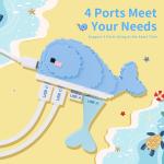 Multi Port Data Transfer Memory Card Hub With Memory Card Reading For Laptop