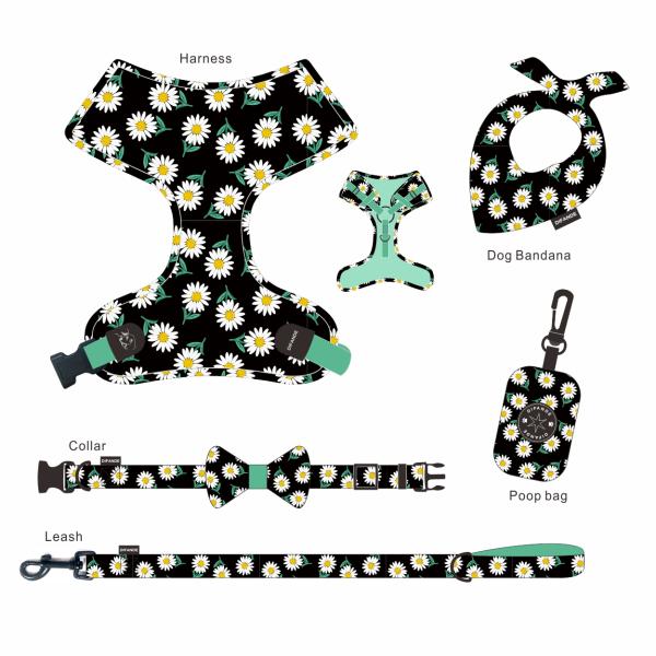 Velvet Walking Cat Harness Vest