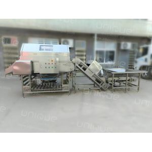 3000 kg/h Onion Skin Peeler for Root Vegetables and Stainless Steel 304 in