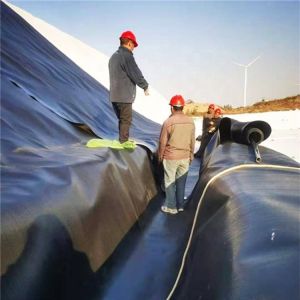 Durable Anti-Aging Geomembrane Perfect Solution for Landfill Sites and Fish Pond
