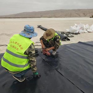 2mm HDPE Geomembrane Landfill Liner for Environmental Protection and Sustainabil