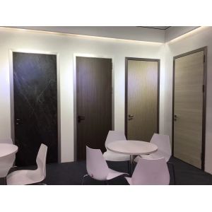 Modern Aluminum frame Customized Commerical Home use flush door design